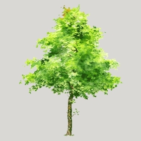 ͼʦģֲģȫ20222522