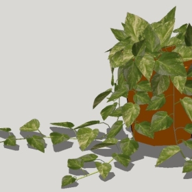 ͼʦSketchupƷģ20221125ϴ045