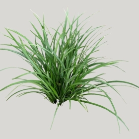 ͼʦģֲģȫ20221494