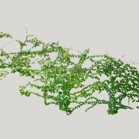 ͼʦģֲģȫ20221879