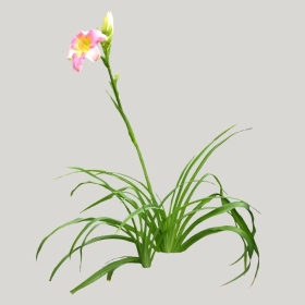 ͼʦģֲģȫ20221012