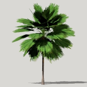 ͼʦģֲģȫ20221211