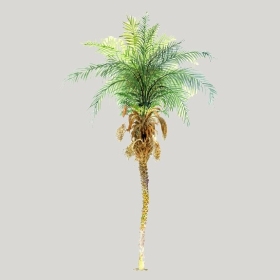 ͼʦģֲģȫ20222603