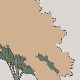 ͼʦģֲTTrees2Dֱģ123