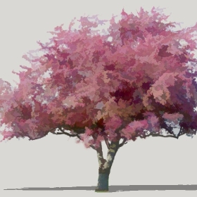 ͼʦģֲģȫ20221222