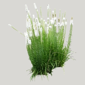 ͼʦģֲģȫ20221430