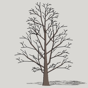 ͼʦģֲTTrees2Dֱģ082