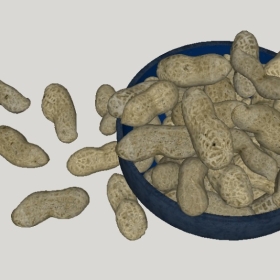 ʳ_SketchupͼʦģVray202204251458