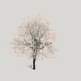 ͼʦģֲģȫ20222348