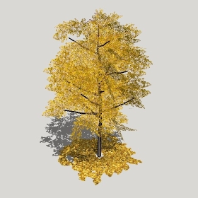 ͼʦģֲģȫ20221266