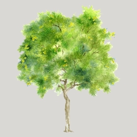 ͼʦģֲģȫ20222548