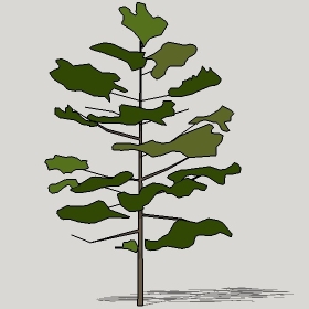 ͼʦģֲTTrees2Dֱģ057