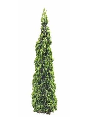 720úTF05