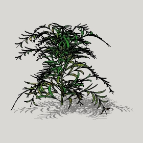 ͼʦģֲģȫ20221229