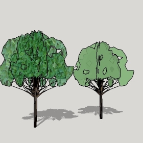 ͼʦģֲģȫ20221940