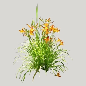 ͼʦģֲģȫ20221024