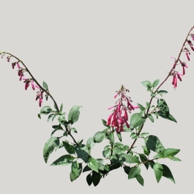 ͼʦģֲģȫ20221400