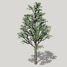 ͼʦģֲģȫ20221184