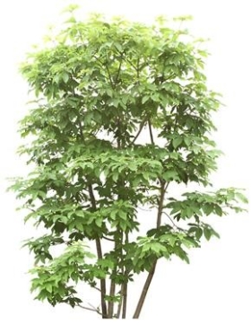720úTH_118AP