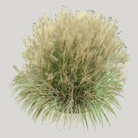 ͼʦģֲģȫ20221870