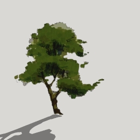 ͼʦģֲģȫ20222581