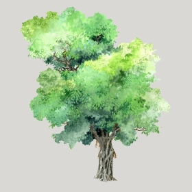 ͼʦģֲģȫ20221312