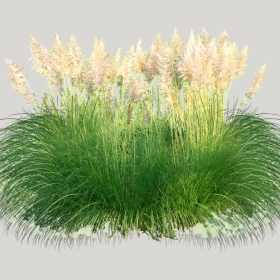 ͼʦģֲģȫ20222069