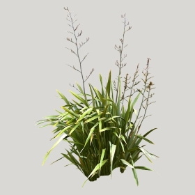 ͼʦģֲģȫ20221498