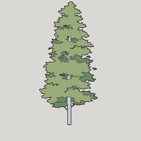 ͼʦģֲģȫ20222369