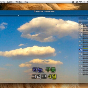Movist for mac 1.3.17 – QuickTime和FFmpeg的解码器 HD播放器 绿化 免费下载