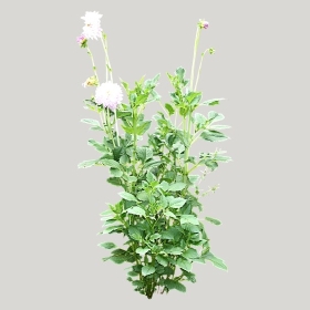 ͼʦģֲģȫ20221034