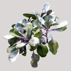 ͼʦģֲģȫ20221347