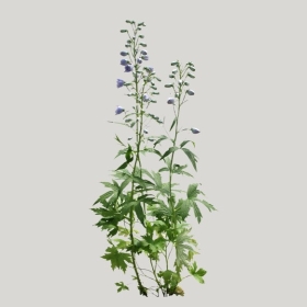 ͼʦģֲģȫ20221812