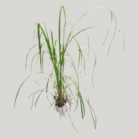 ͼʦģֲģȫ20221578