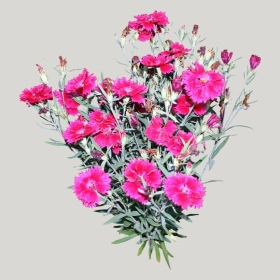 ͼʦģֲģȫ20221058