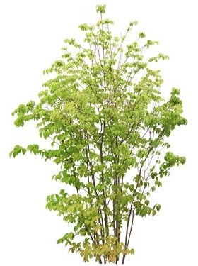 720úTH_122AP