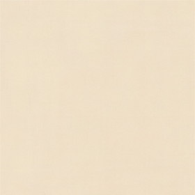 ʯɲ׹שհհPH6001  600X600  PH8001  800X800MM