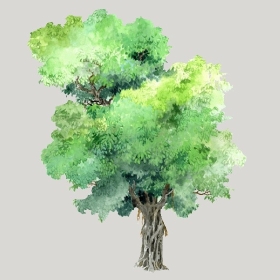 ͼʦģֲģȫ20222509