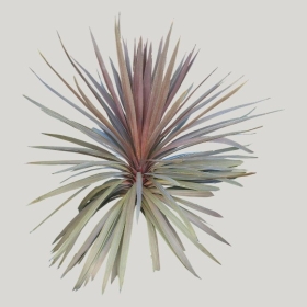 ͼʦģֲģȫ20221997