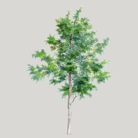 ͼʦģֲģȫ20222659