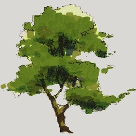 ͼʦģֲģȫ20222363