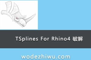 020-TSplines For Rhino4 ̻