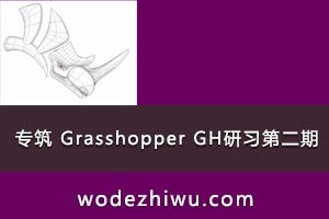 ר Grasshopper GHϰڶ