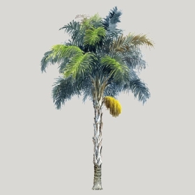 ͼʦģֲģȫ20222547