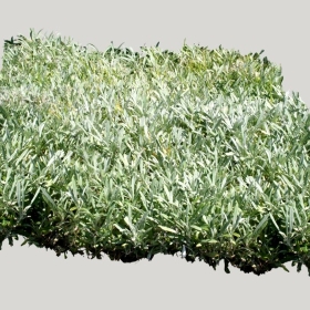 ͼʦģֲģȫ20221436