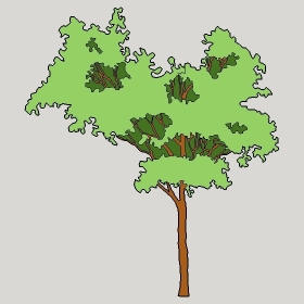 ͼʦģֲģȫ20222717