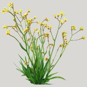 ͼʦģֲģȫ20221525