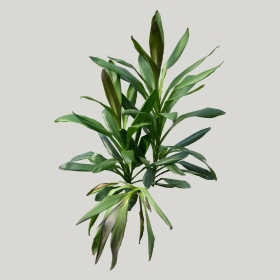 ͼʦģֲģȫ20221562