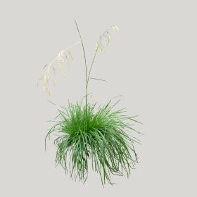 ͼʦģֲģȫ20221530