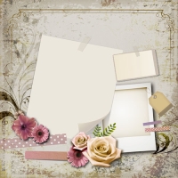 PSD�ʻ�����ģ��Դ�ļ�FL-0434